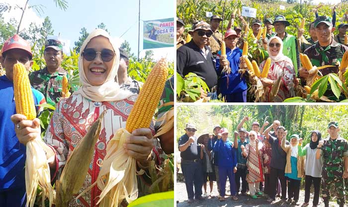 Penyuluh Trenggalek Wajib Dampingi Petani Jagung Hadapi Panen Raya